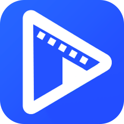 AVAide Video Converter